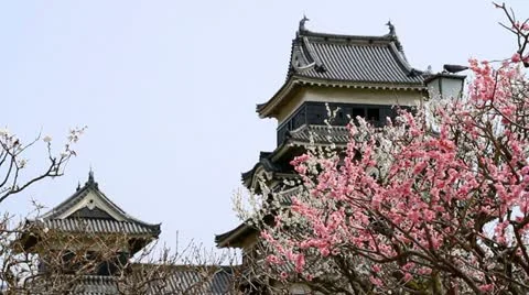 Japanese Castle. Stock Footage 22385483