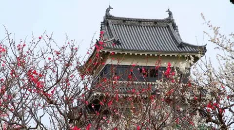 Japanese castle. Stock Footage 22385654