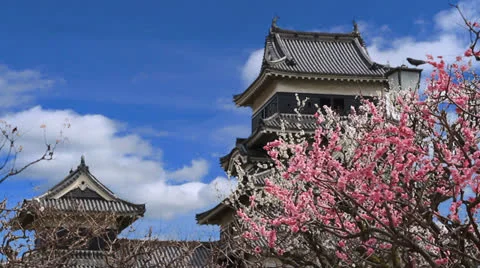 Japanese castle. Video stock 23679751