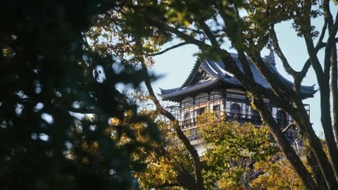 Japanese Castle Keep Viewed Through Autumn Tree Canopy Daytime Stock Footage 344966942