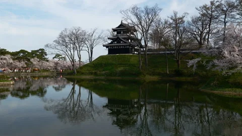 Japanese Castle Reflected in the Moat with Cherry Blossoms (Zoom Out) Stock-Footage 281122767