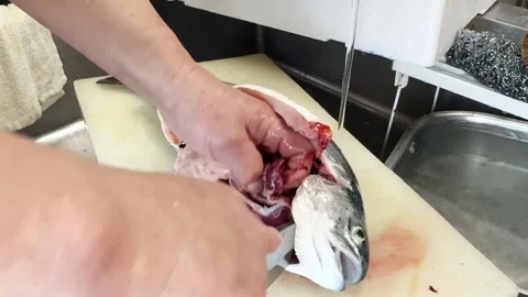 Japanese Chef Cutting Open A Fresh Salmon To Remove The Innards, Japan Stock Footage 340603898