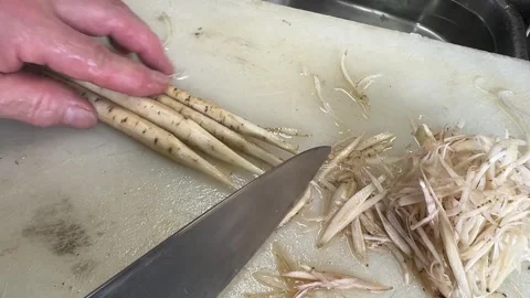 Japanese chef shaves burdock root gobo into thin sasagaki strips with knife Stock Footage 342766791