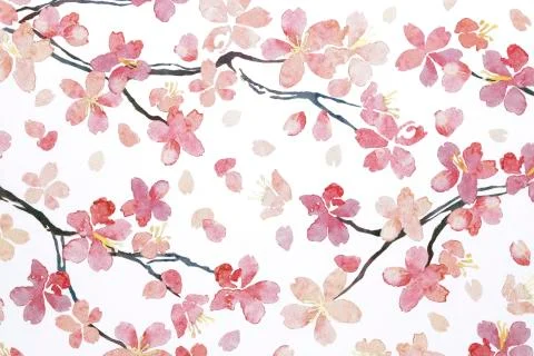 Japanese cherry blossoms texture background Illustrazione stock