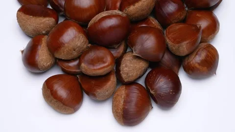 Japanese chestnut. Stock Footage 288557800