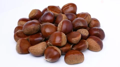 Japanese chestnut. Stock Footage 288558347