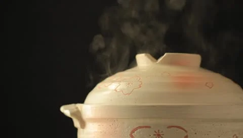 Japanese Cooking Pot Stock Footage 8908669