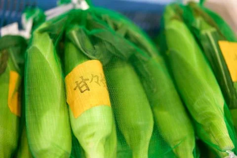 Japanese Corn 库存照片