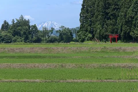 Japanese countryside Stock Photos