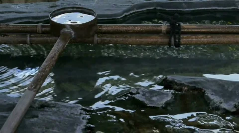 Japanese Dipper Stock Footage 784691