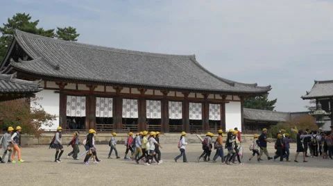 Japanese Elementary School Students Visiting Horyuji 스톡 동영상 43022882