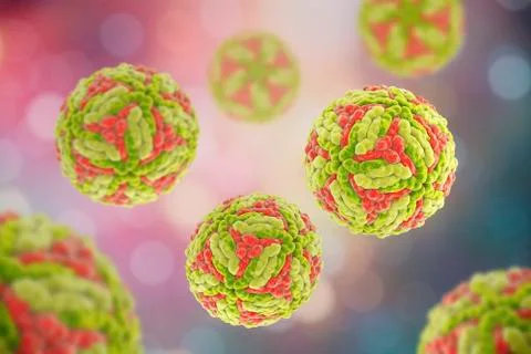 Japanese encephalitis viruses Stock Illustration