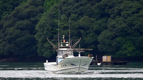 Small fishing boat in a Japanese harbor, Stock Video