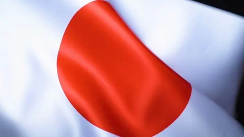 Japanese Flag Flapping Stock Footage 118972530
