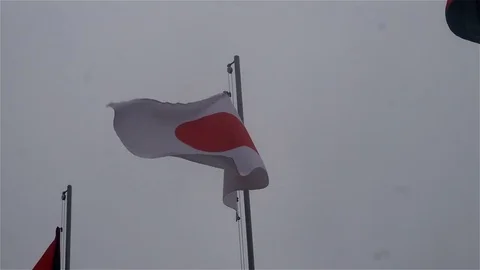 Japanese flag fluttering in the wind Stock Footage 82119965