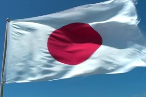 Japanese Flag Video stock 137162