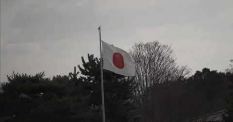 Japanese flag in Kyoto Stock Footage 87138317