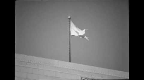 Japanese flag waving Stock Footage