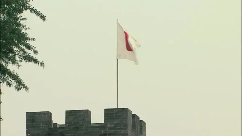 Japanese flag waving Stock Footage 235280071