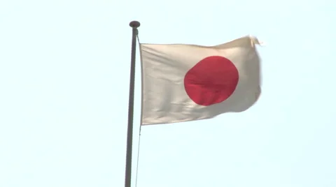 The Japanese flag waving in the wind Stock Footage 46563860