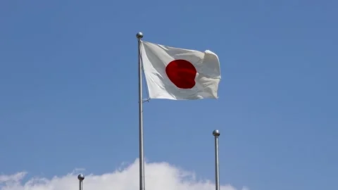 Japanese flag waving in the wind Stock Footage 239160949