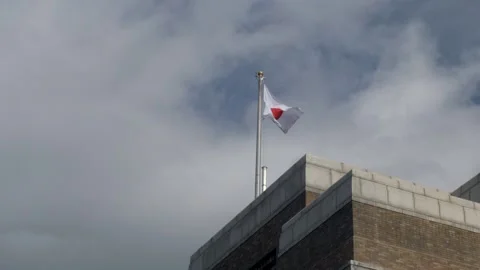 Japanese flag in the wind, slow motion Stock Footage 137881811