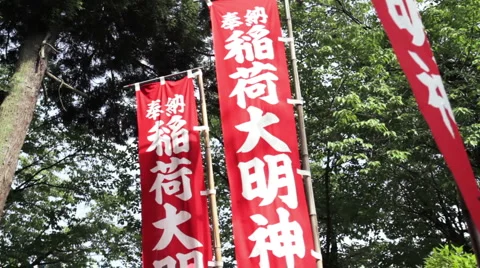 Japanese flags Vidéo 5163114