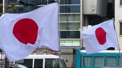 Japanese flags held by right wing activists Stock Footage 248818064