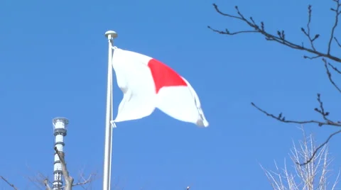 Japanese flag,Tokyo Sky tree Stock Footage 46568846