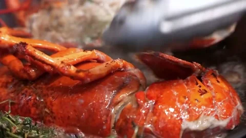 Japanese Food Stock Footage 169811203