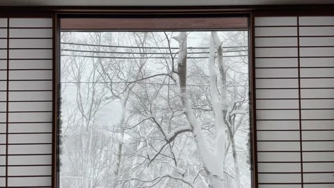 Japanese forest in winter view through the windowUntitled Project Video stock 234308985