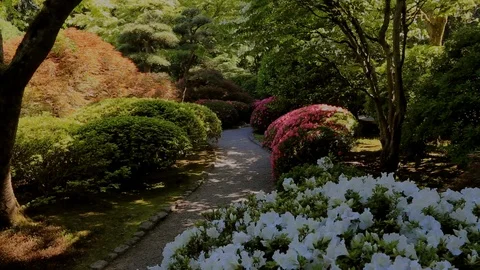 Japanese Garden Flowered Path Video stock 105069920