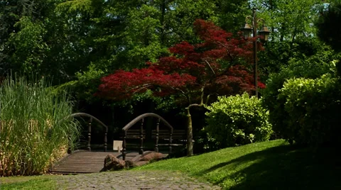Japanese Garden Stock Footage 35595986