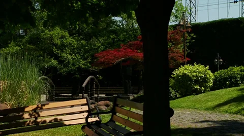 Japanese Garden 動画素材 35596087
