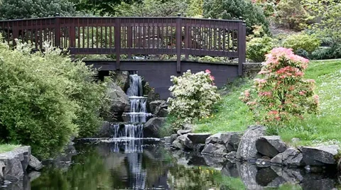 Japanese garden Stock Footage 37848658