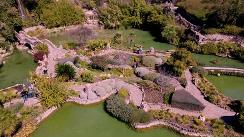 Japanese garden Stock Footage 194403656
