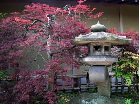 Japanese garden Stock Photos