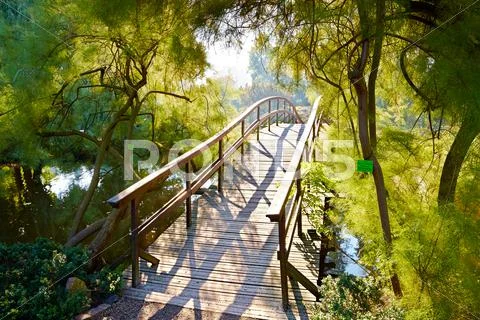 Japanese garden Stock Photos
