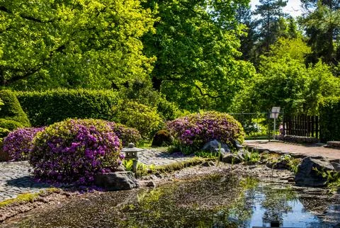 Japanese garden Foto stock
