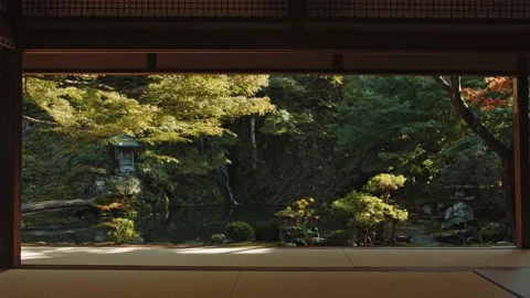 Japanese Garden Pond, Jiongokokuzenji Temple Stock Footage