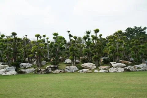 Japanese garden style Stock Photos