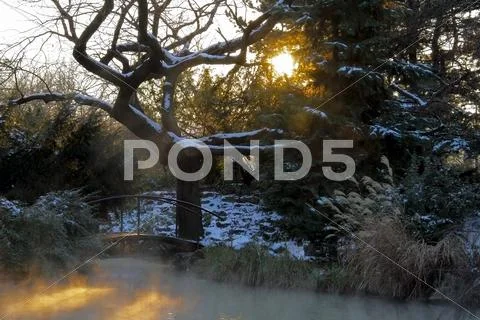 Japanese Garden at Sunset in Winter Stock Photos