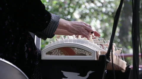 Japanese Instrument Stock Footage 63384938