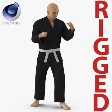 Japanese Karate Fighter Black Suit Rigged For Cinema 4D 3D Model