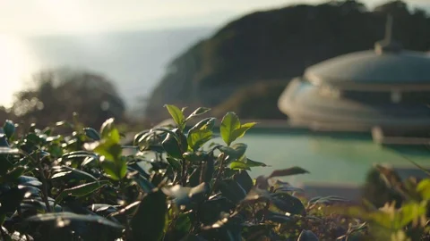 Japanese landscape Stock Footage 100534067