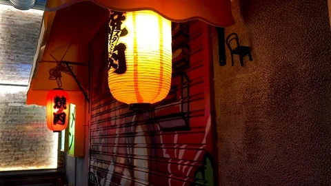 Japanese Lantern Stock Footage 109067667