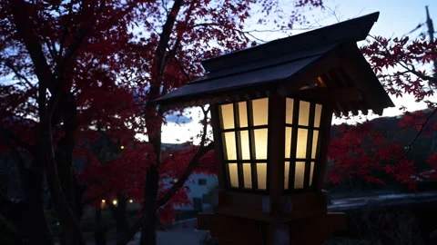 Japanese lantern illuminating red maple leaves at dusk Видео 308526062