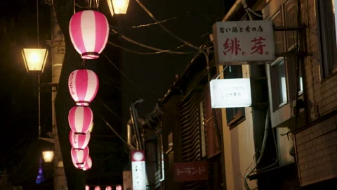 Japanese Lanterns At Night Time 스톡 동영상 239661150