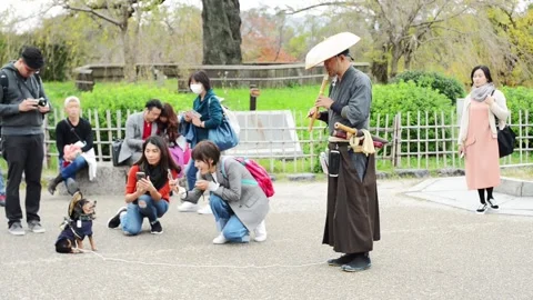 Japanese man wearing a samurai costume Stock Video Pond5