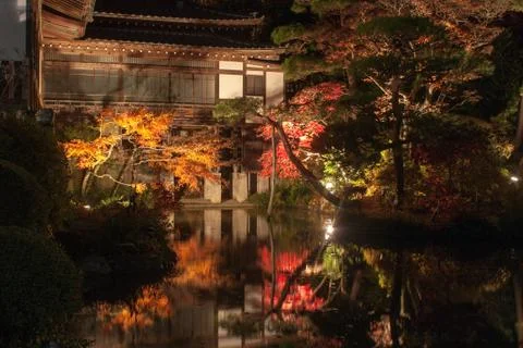 Japanese maple leaf tree and pond in autumn Stock Photos